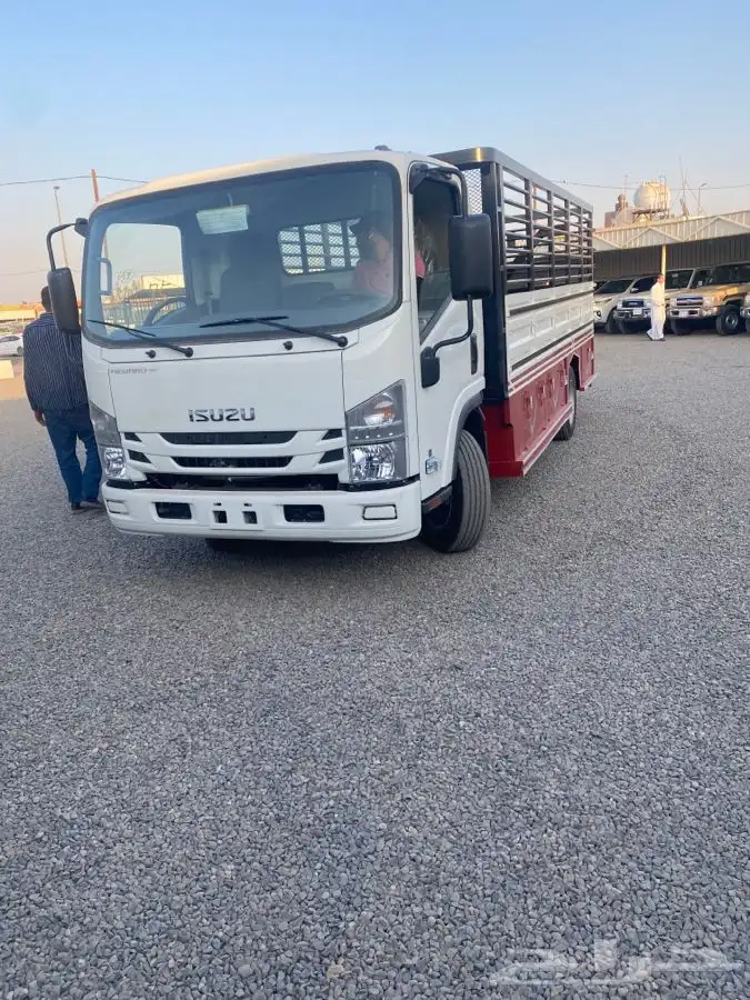 دينا اصفار خمس متر 2025 1