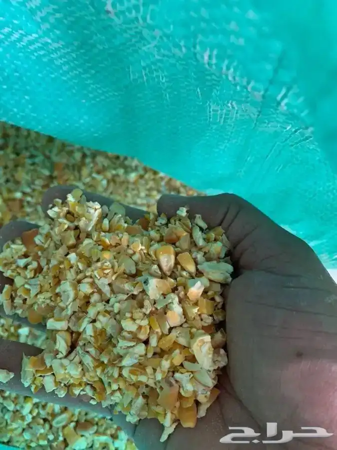 ذبائح ثلاجة ومناسبات تمارا 10