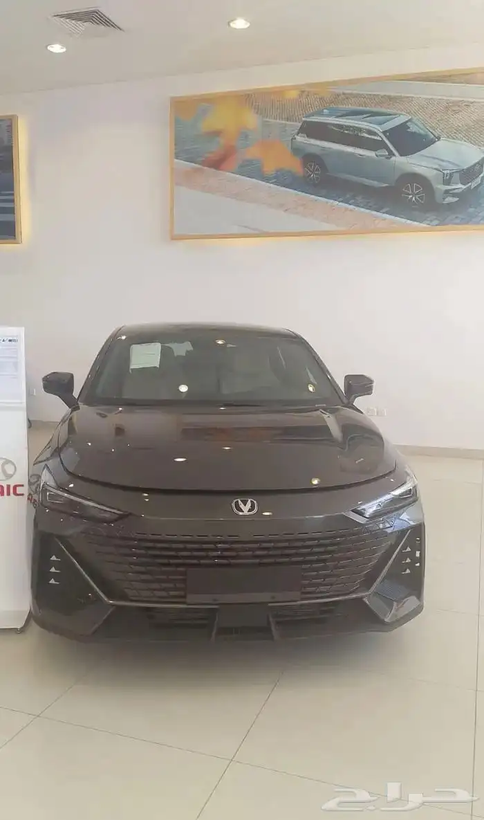 الحقو عروض نوفمبر يوني في جميع الفئات والالوان 41