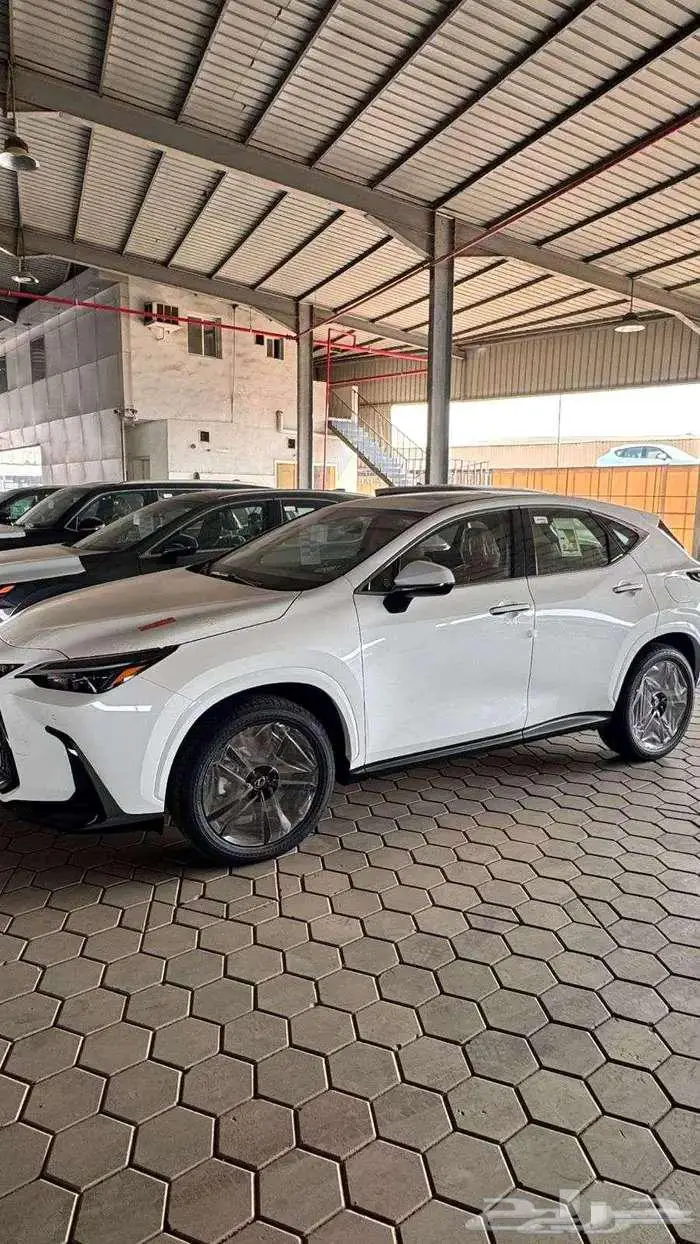 لكزس NX350 AA موديل 2026 كاش بنك 3