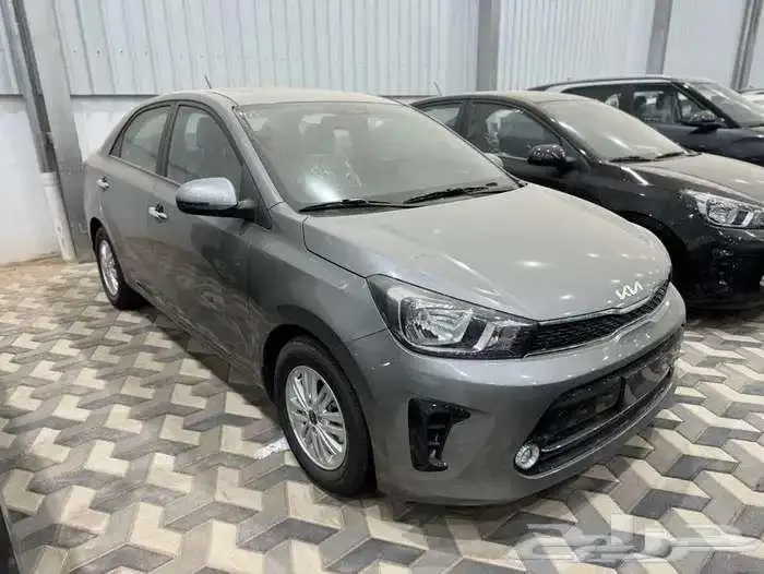 بيجاس 2025 فل كامل كاش واقساط كل الالوان 3