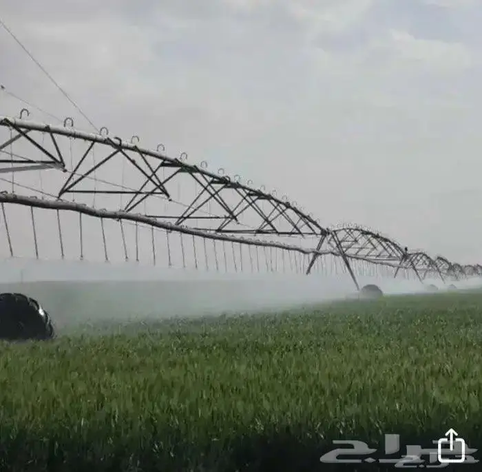 هوندا مشروع زراعي للايجار في بسيطا 0