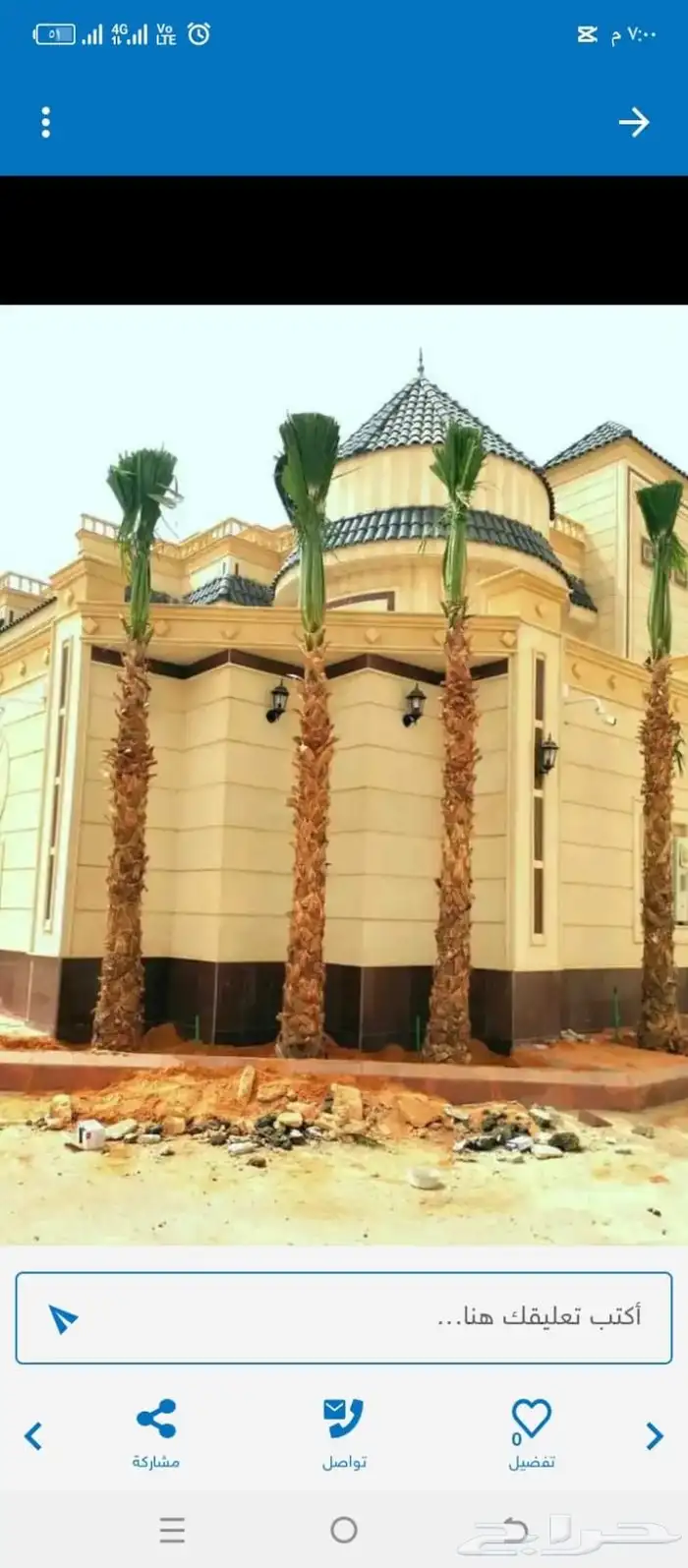 نخل واشنطني زينه امريكي ابومروحه 7