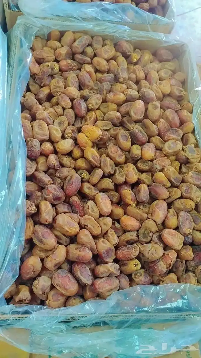 خلاص ماشاءالله تبارك الله 9طن 4