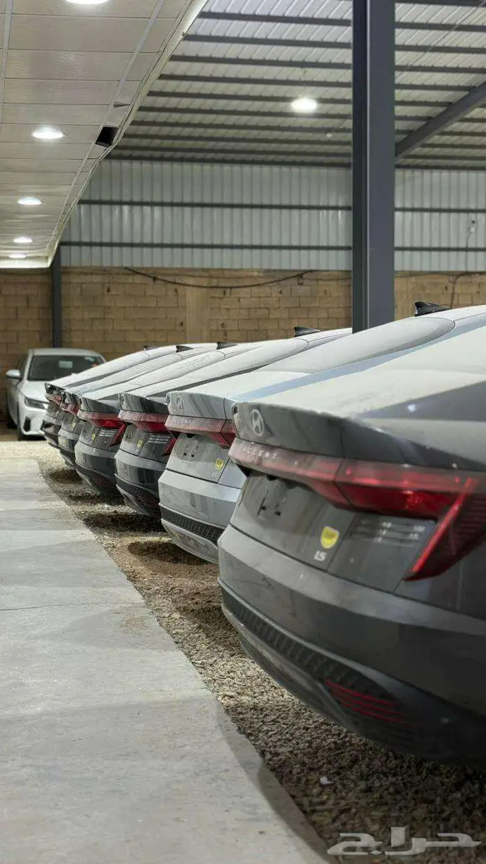 برديدة حي الجزيرة المعارض 0