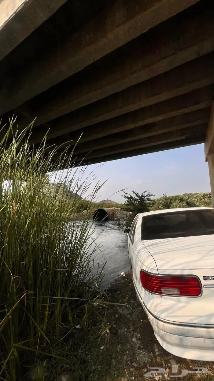 كابرس صابونه 93 2