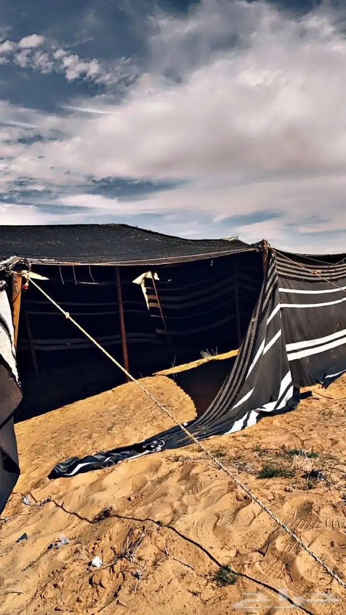 بيوت شعر وخيام 8