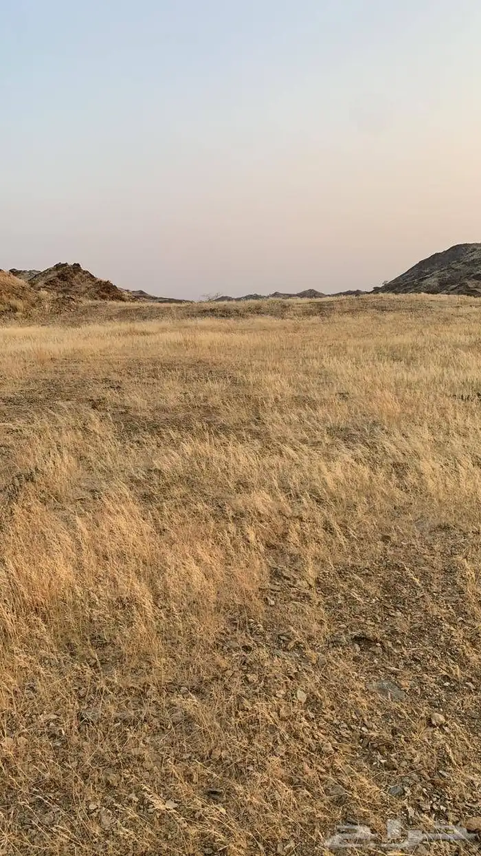 أرض للبيع- أبها - بني مالك شوحطه 0