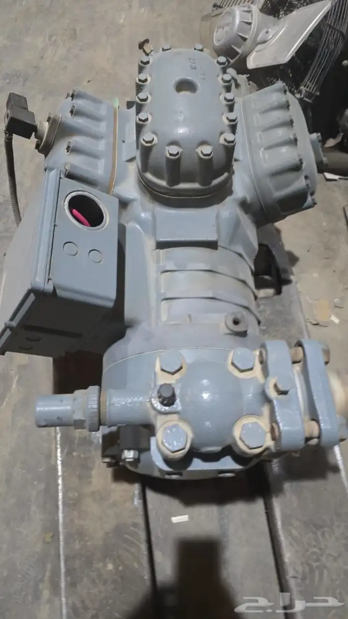 مخازن تجميد تبريد تمور دجاج ورد صناعي وتجاري 5