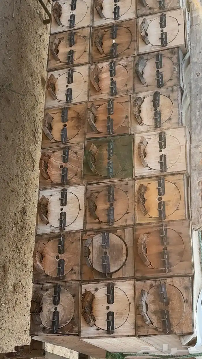 القنفذة القوز عنيكر 1