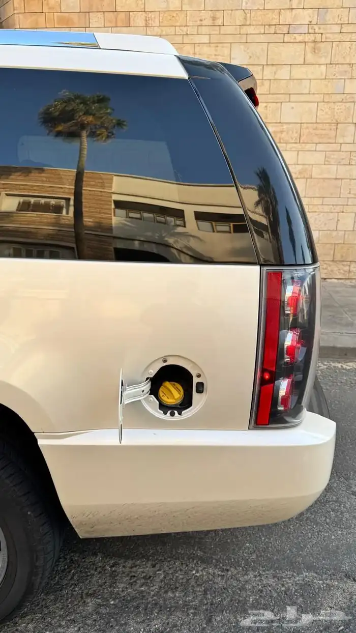 دينالي 2009 12