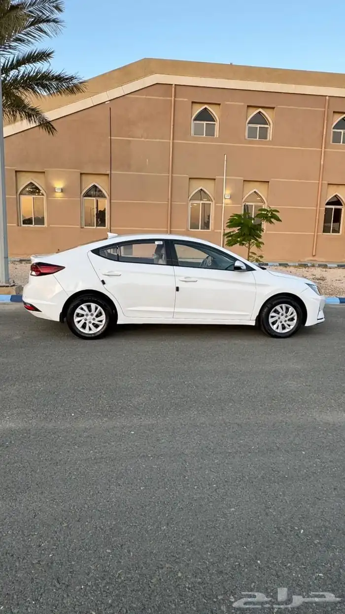 النترا 2020 وارد الوعلان الدفعه الثانية 12