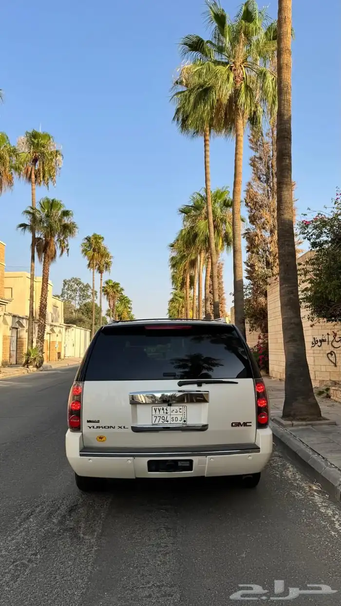 دينالي 2009 19