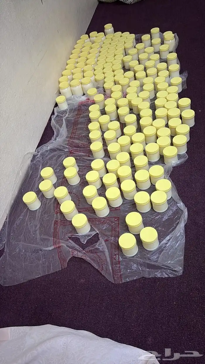 سمن غنم ضان طبيعي على الضمان الذهبي ل استرجاع فلوسك 0