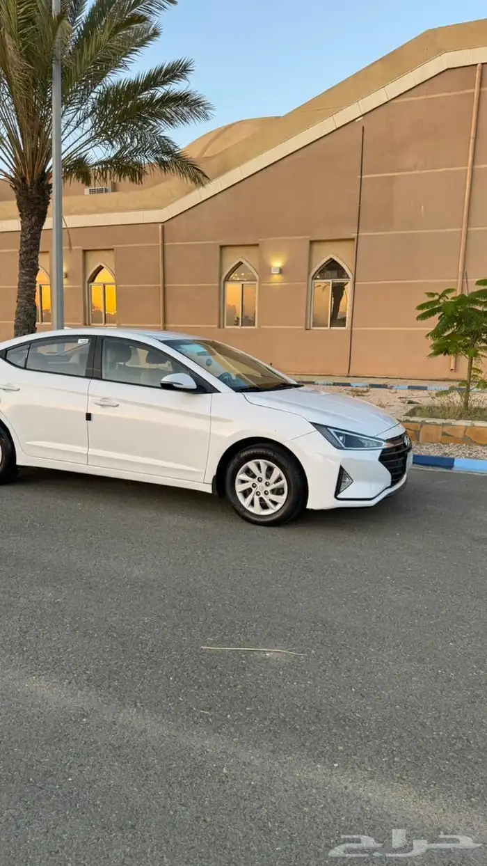 النترا 2020 وارد الوعلان الدفعه الثانية 2