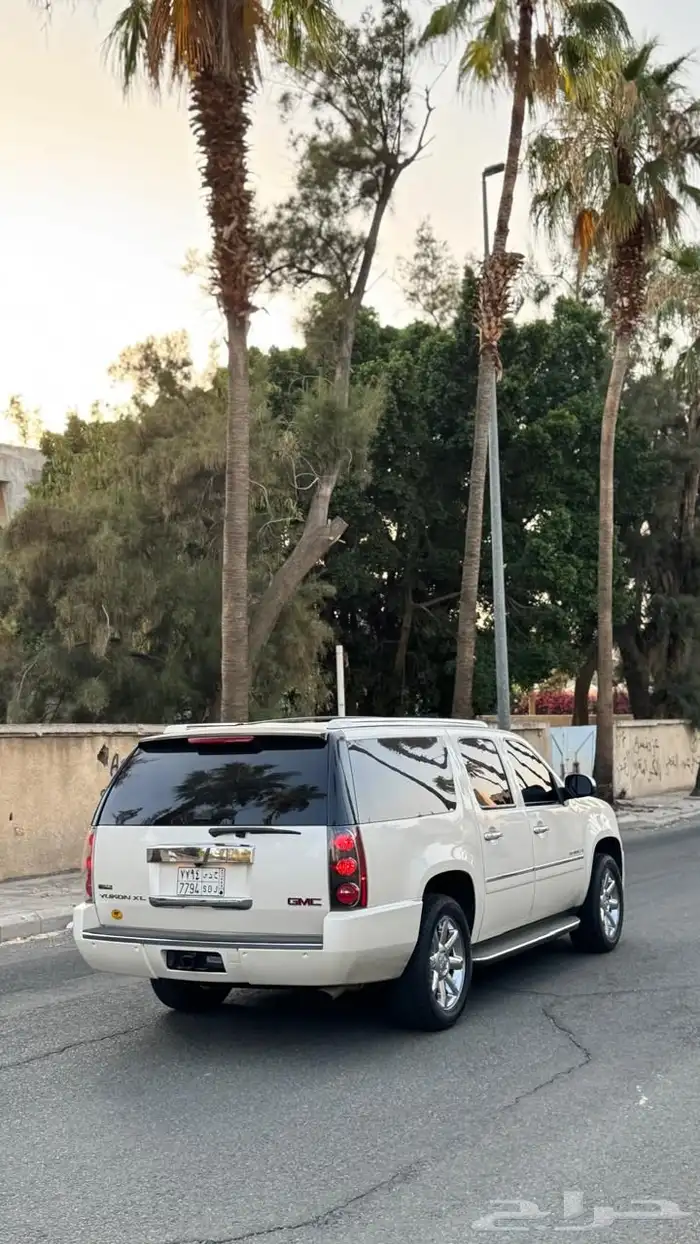 دينالي 2009 17