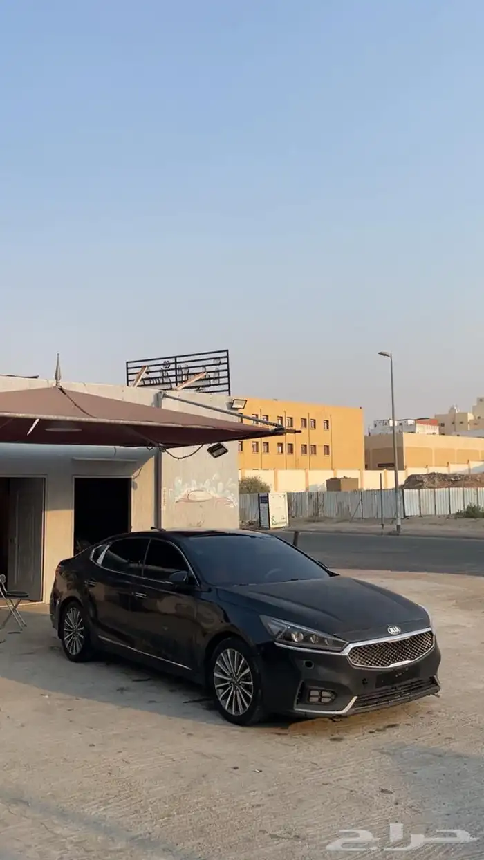 كادينزا 2018 1