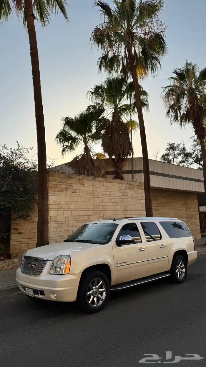 دينالي 2009 21