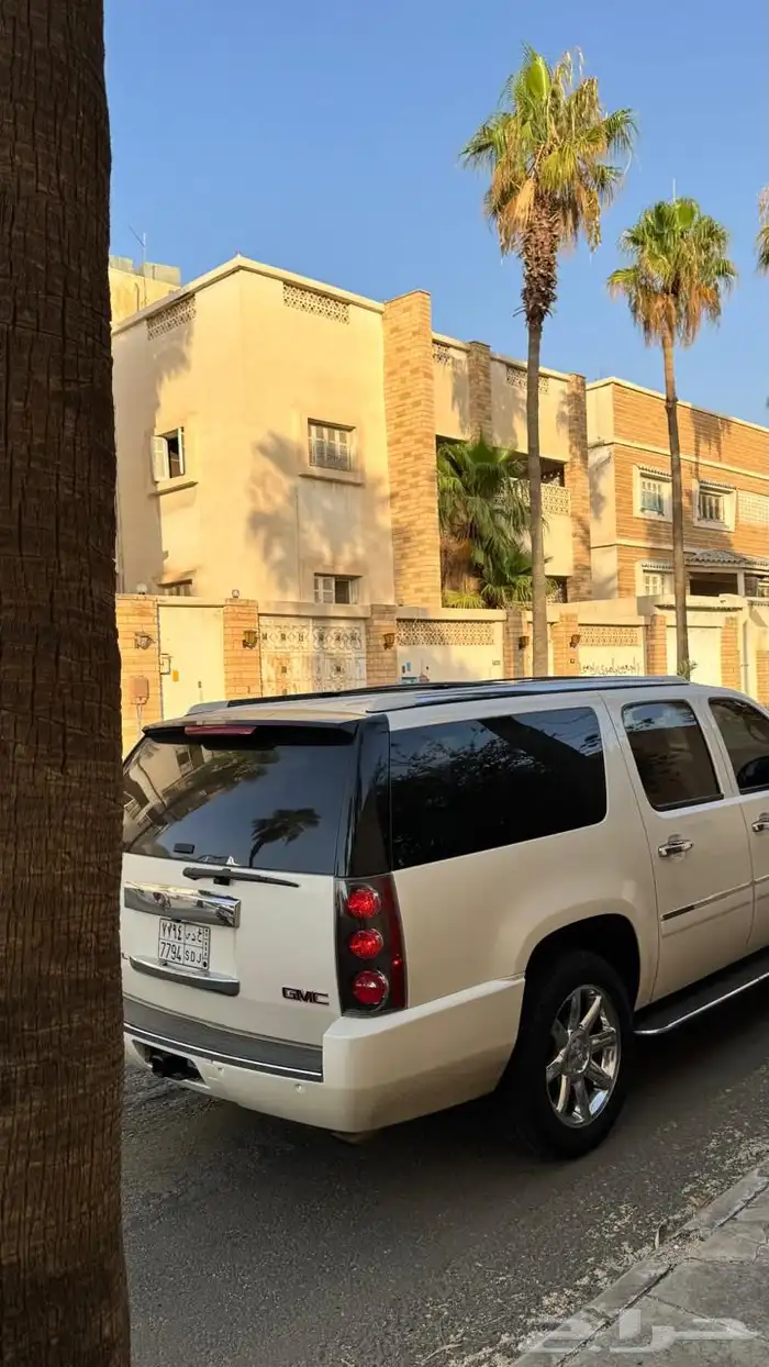 دينالي 2009 20