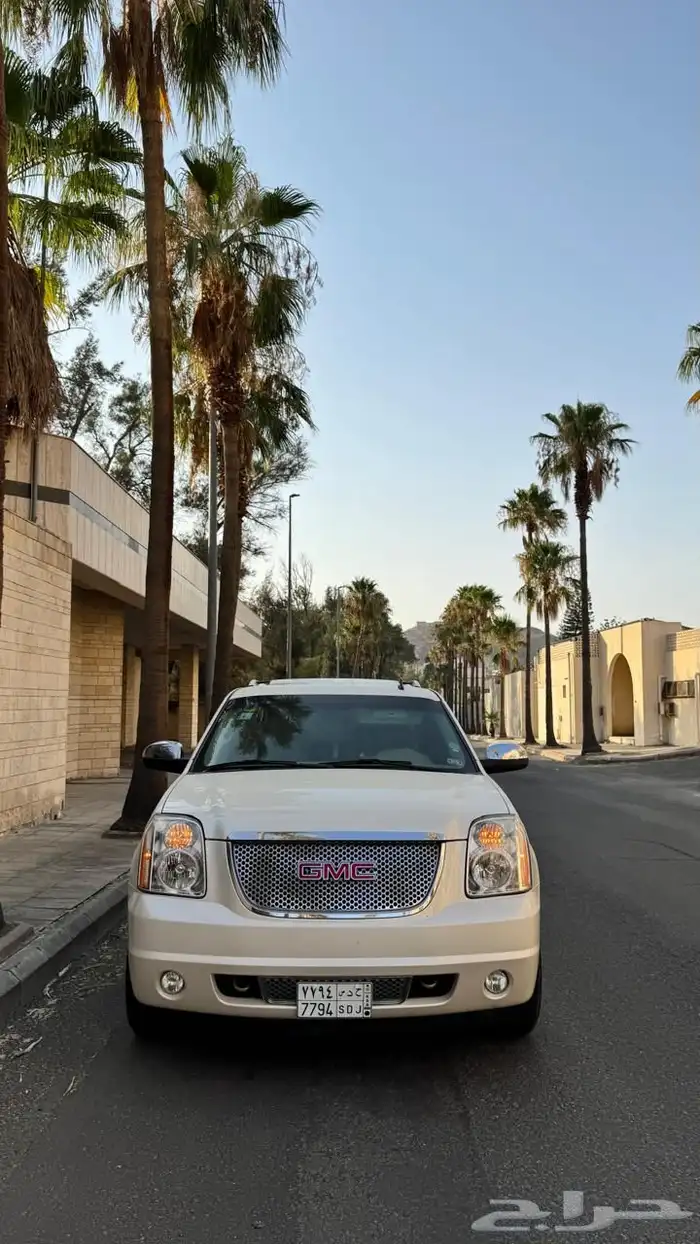 دينالي 2009 14