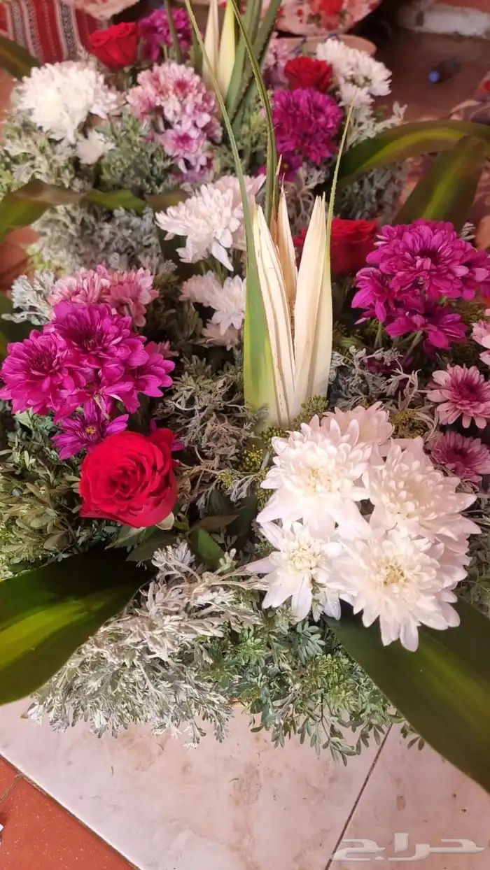 فل أشكال وأنواع 50