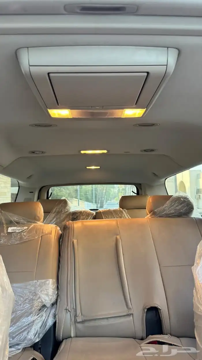 دينالي 2009 16