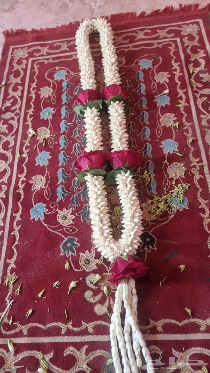 فل أشكال وأنواع 26