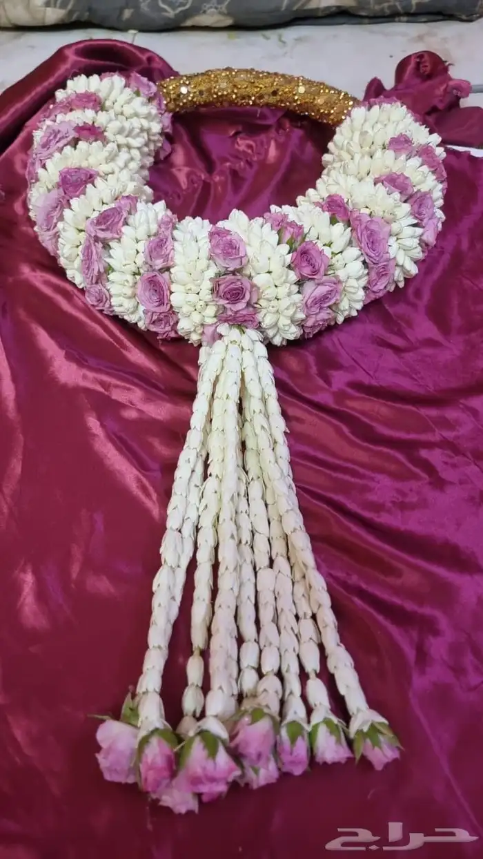 فل أشكال وأنواع 42