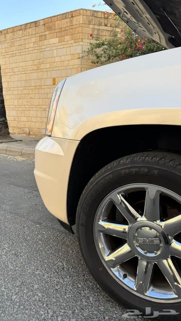 دينالي 2009 10