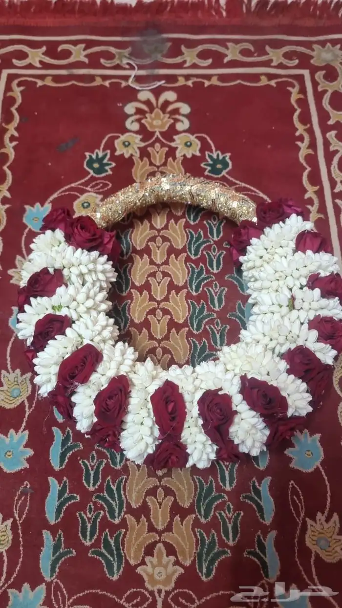 فل أشكال وأنواع 22