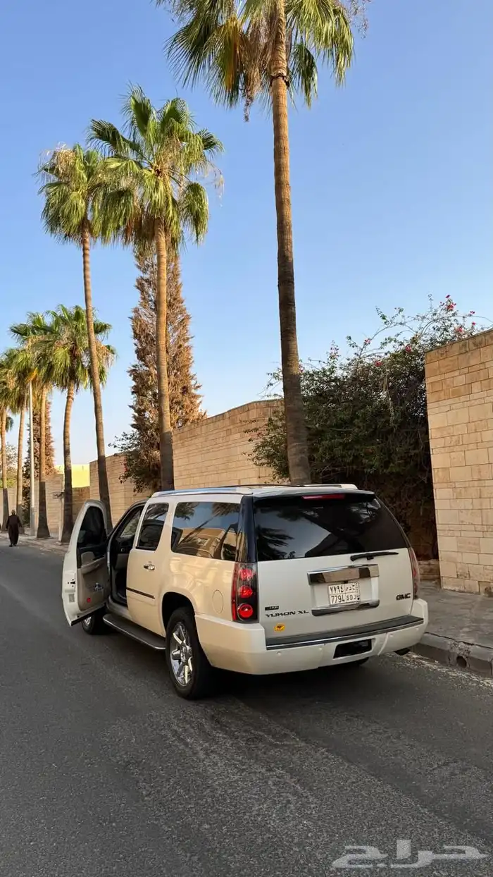 دينالي 2009 18