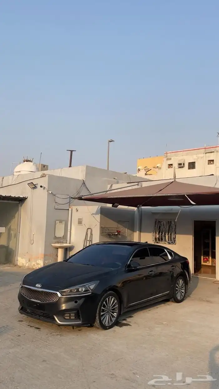 كادينزا 2018 4