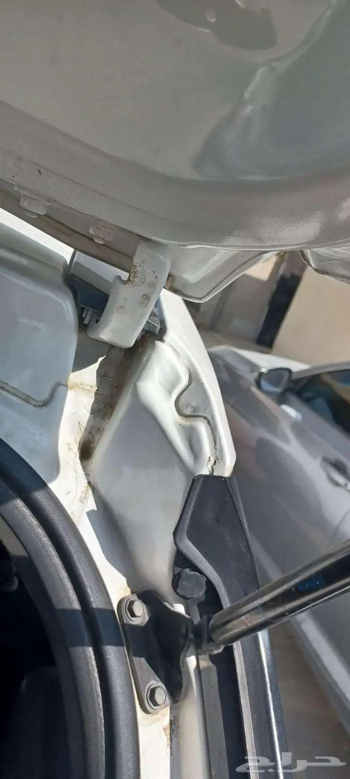 نسيان كيكس انتاج 2022 2 تشغيل 2023 السعر قابل للتقسيط 21