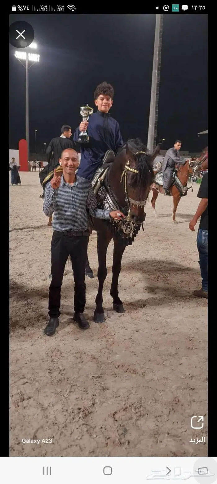 مطلوب نقل حصان من تبوك إلى حايل 0