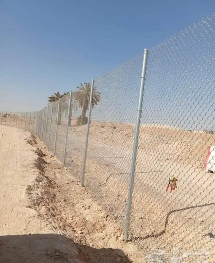 يوجد لدينا توريد جميع انواع نخيل وشبوك 1