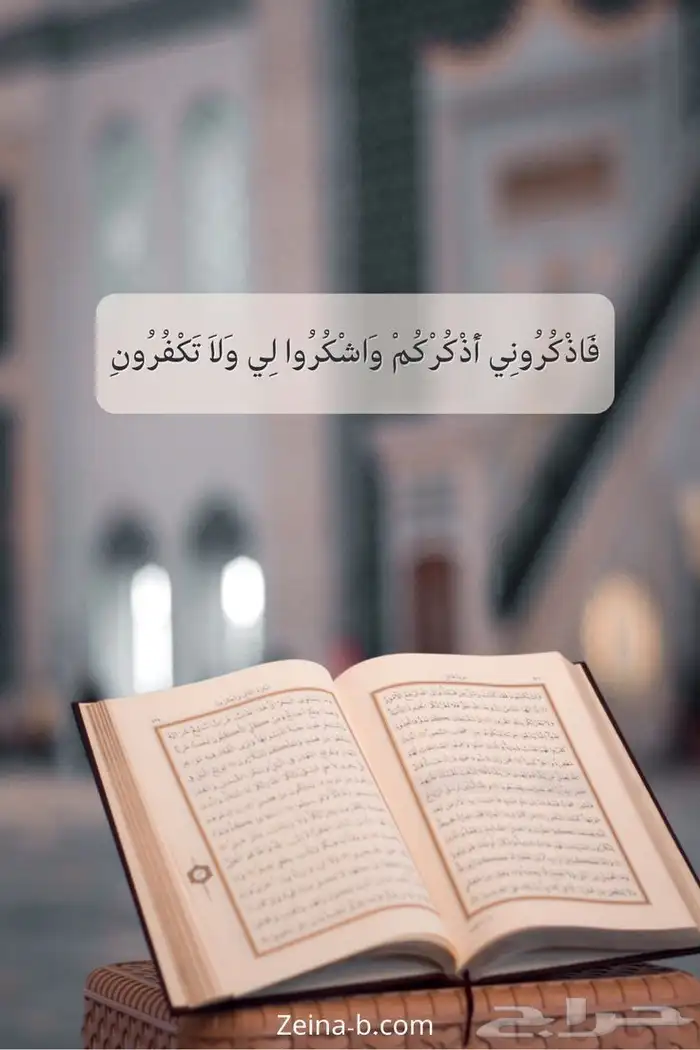 معلم قران من الحرم النبوي الشريف حلقات خاصه 0