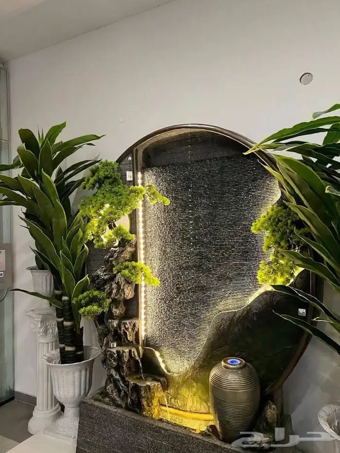 مؤسسة زهرة الخليج الزراعية -نجران -دحضة 4