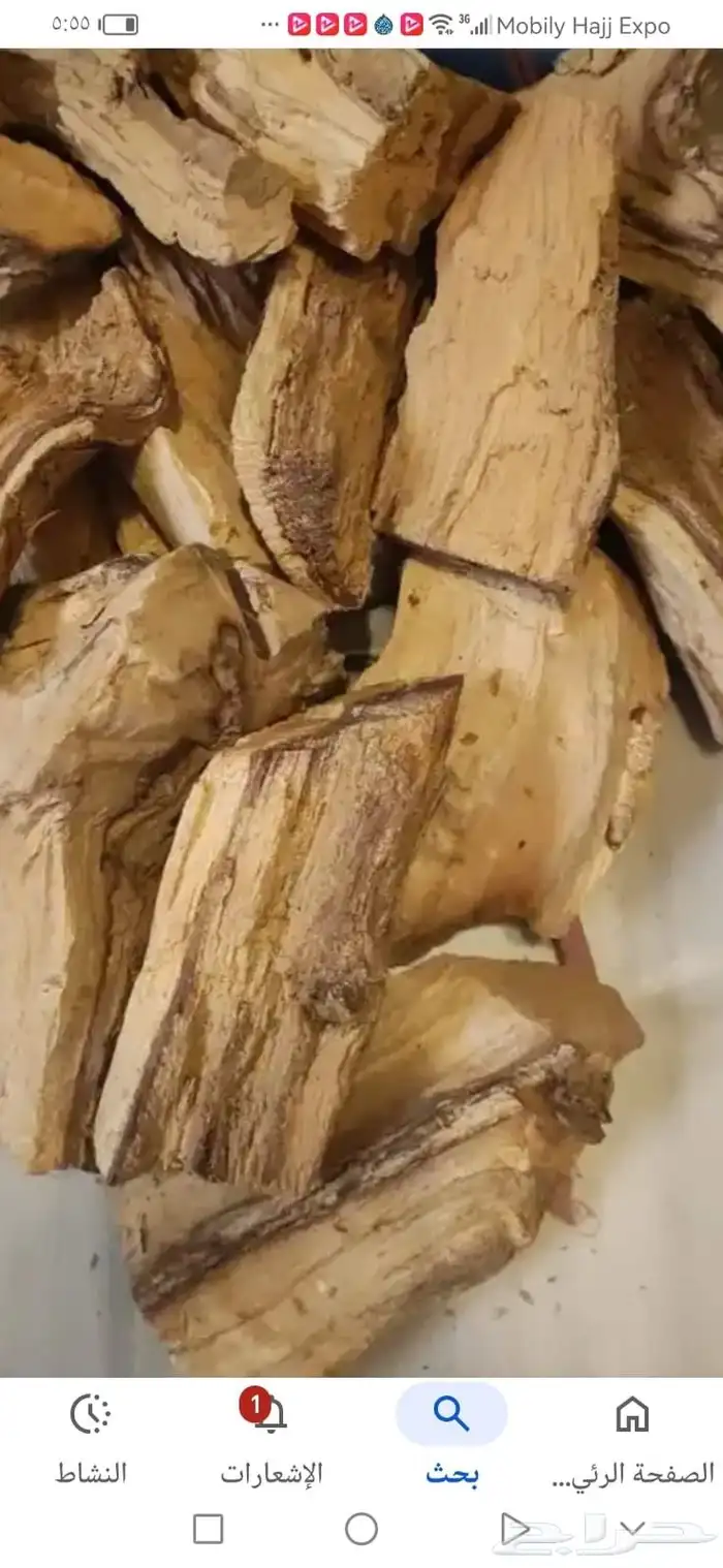 حطب طلح سوداني الدمازين الشاف 0