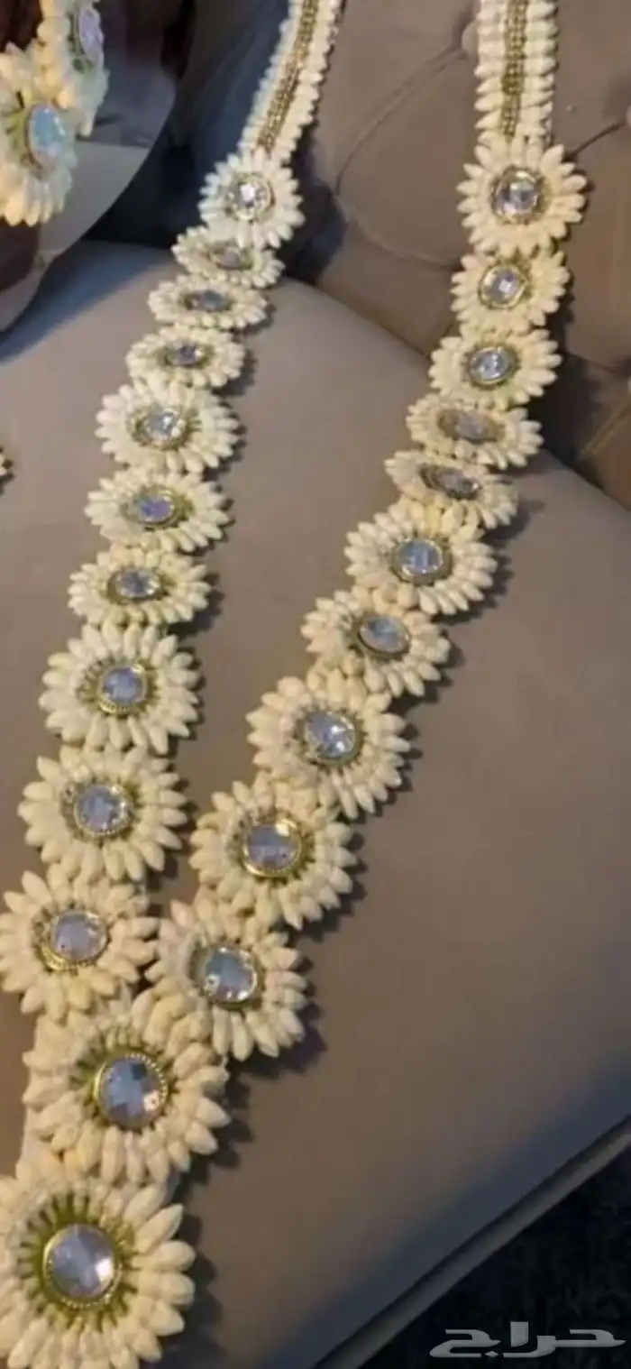 فل أشكال وأنواع 31