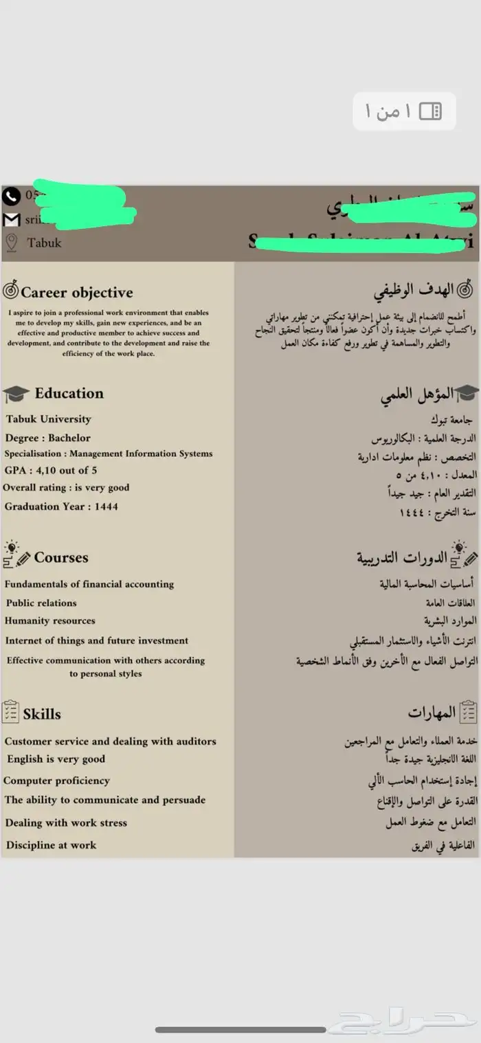 سيرة ذاتية احترافية ATS 13