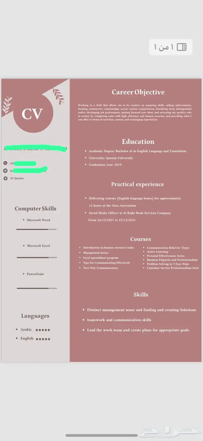 سيرة ذاتية احترافية ATS 24