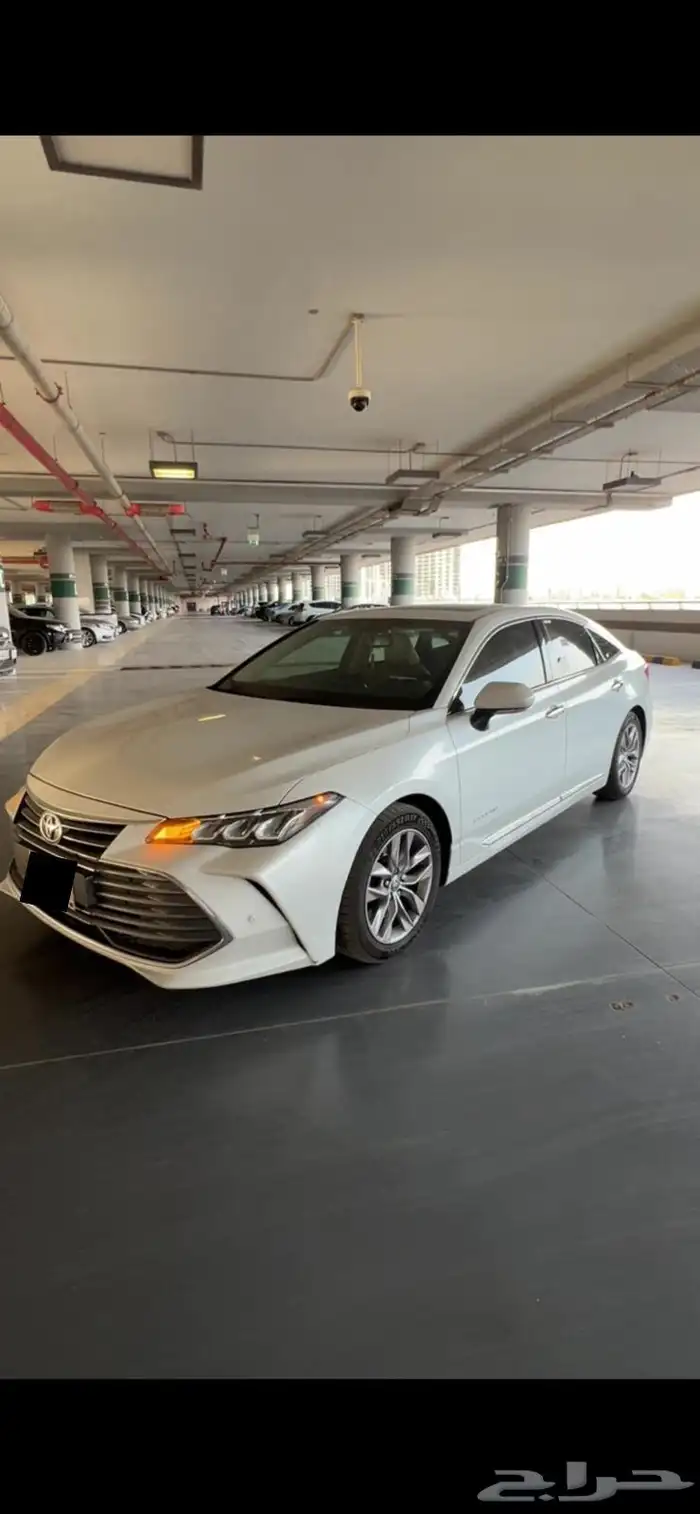 أفالون تورنق 2021 0