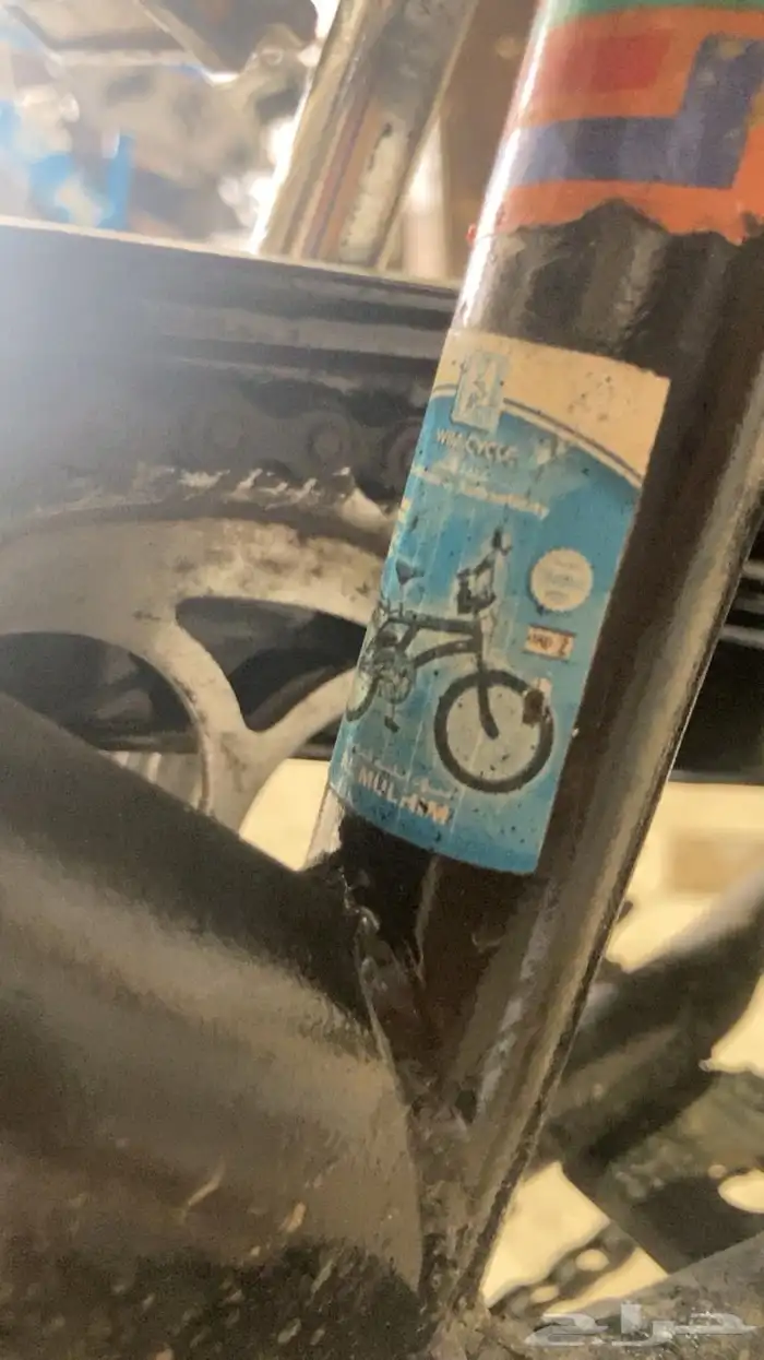 رامبو اندنوسي 5