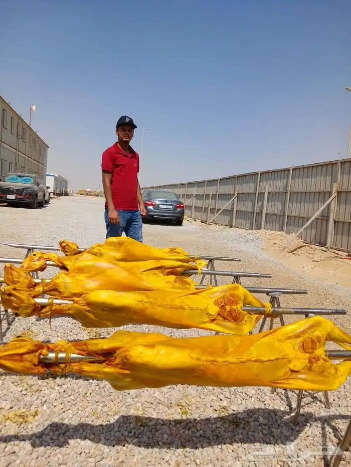 مطعم الخير يقدم خروف سيخ على الجمر 1 خروف مشوي   2   دجاج مش 0