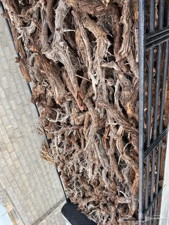 البيع ديانه حطب مستورد 1