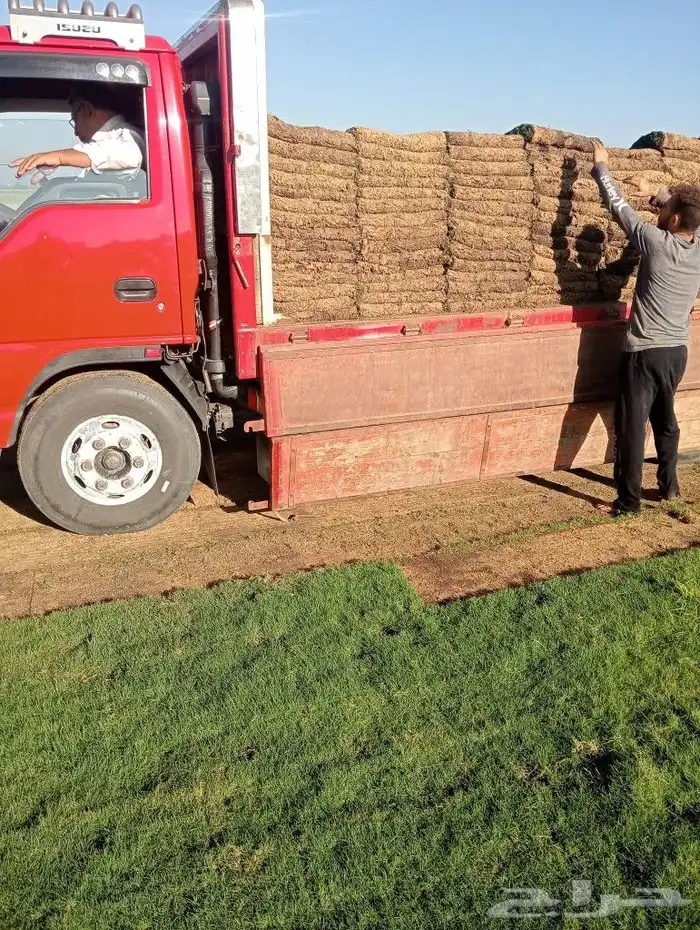 يوجد جميع انواع الاشجار والنباتات يوجد تيل طبيعي يوجد صيانية 1