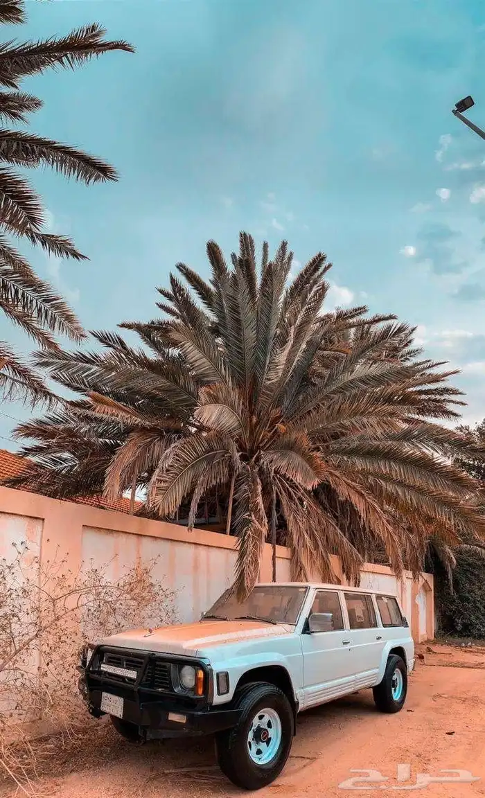 باترول 92 للبيع 6