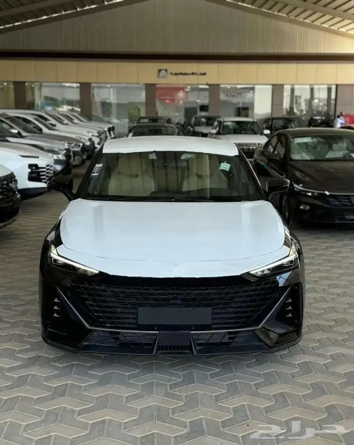 شانجان يونى فى ايليت 2026 اصفار المجدوعي 0