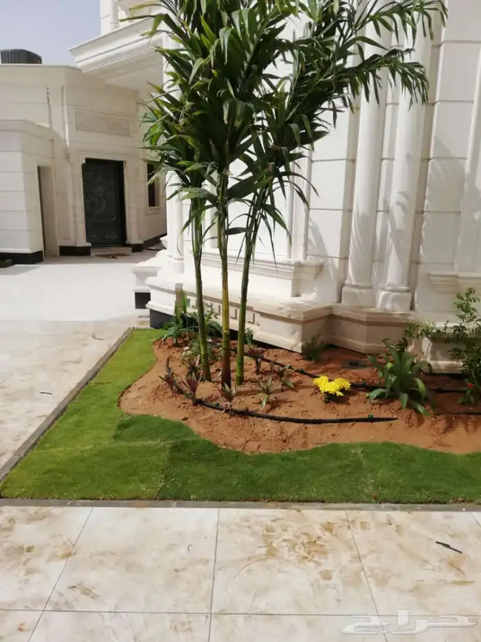 ثيل طبيعي وي ترتيب شجار 3