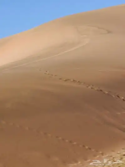 رمل سفساف رمل ناعم رمل بدر 0